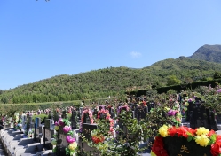 天山陵园环境图