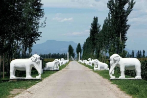 卧龙公墓景观图片