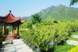 十三陵景仰园陵园环境实拍图片