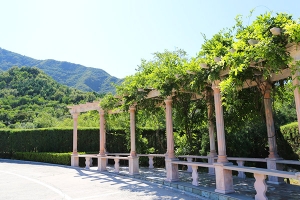 天山陵园