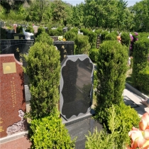 天荷园立碑08189400