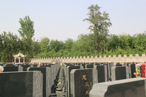 极乐园公墓景观图片