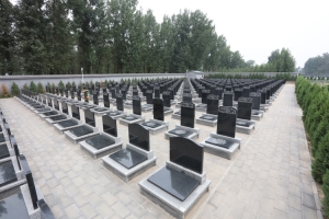 现代陵园选择指南与温馨安息之所探析