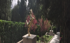 八宝山人民公墓环境图a1535628416622HT