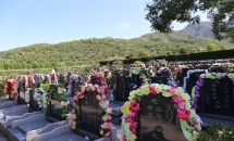 天山陵园环境图1-1P30G05006-51