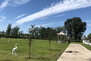 天福园公墓景观图片