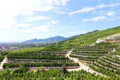 龙泉公墓环境实拍