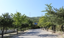 万福华侨陵园环境图1-1P309100619-52