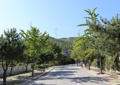 万福华侨陵园环境图