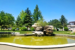 万桐园公墓景观图片