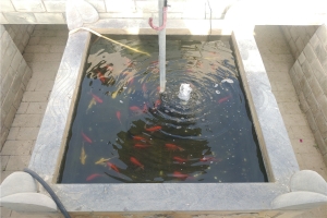 极乐园公墓景观图片