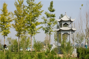 永安陵园景观图片