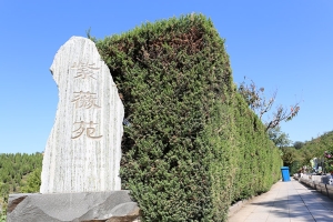 天山陵园景观图片