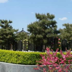 基本墓型