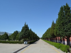 中华永久陵园环境实拍