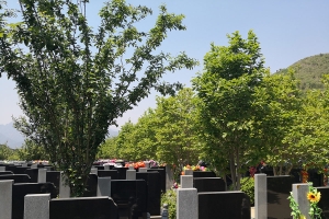 德陵公墓景观图片
