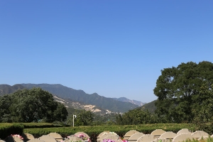 天山陵园景观图片