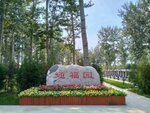 通福园公墓：自然与人文交织的生命归处