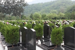 昌平凤凰山陵园环境图