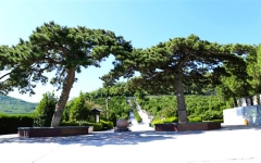 温泉墓园环境图1565769997