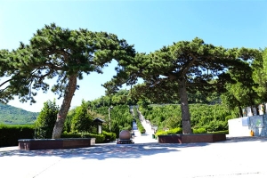 温泉墓园景观图片