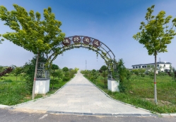 慎终思远