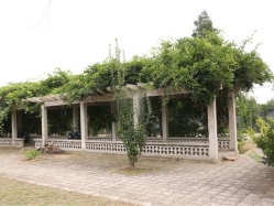 园内景观