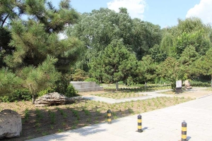 思亲园陵园景观图片