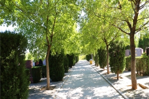 万安公墓景观图片