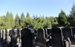 通惠陵园环境图154831040622161