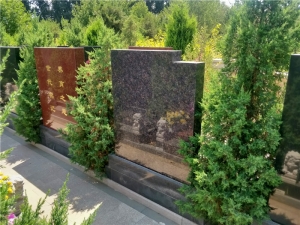 陵园公墓哪里好 全方位对比助您抉择