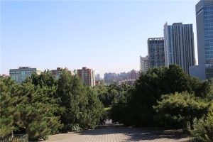 馆内景观