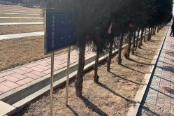 树葬区