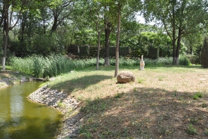 静安墓园景观图片