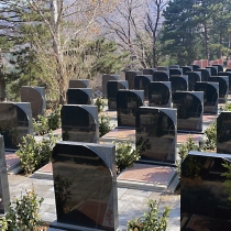 东六区双穴立碑22800