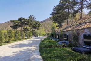 永宁陵园景观图片