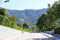 天山陵园环境图