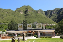 桃峰陵园环境实拍