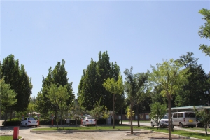 北京外侨公墓多少钱 详细价格解析与购买指南