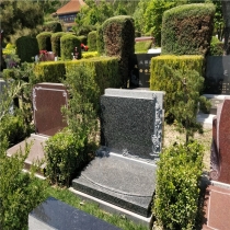 方舟园立碑023958001