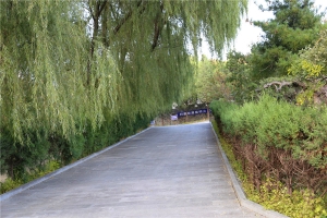 宝云岭墓园景观图片