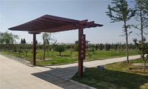 清颐园公墓环境实拍小路