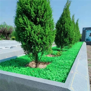 探秘中国古典园林的艺术魅力与文化内涵