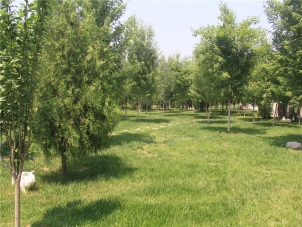 涿州市万佛园墓地：宁静长眠的山水胜境关键词：涿州市万佛园，墓...