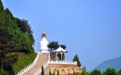 盘龙台公墓环境图1548689264