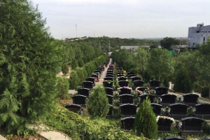 玉叶陵园景观图片