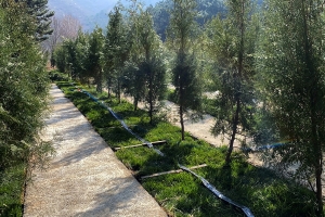 永宁陵园景观图片