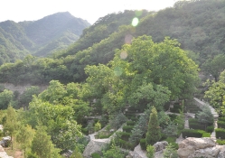 九公山陵园环境实拍