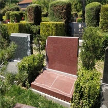 方舟园立碑013958002