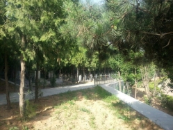 龙泉公墓环境实拍
